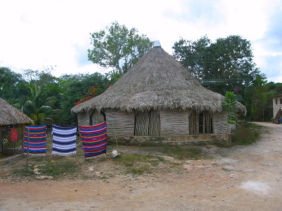 Mayan House