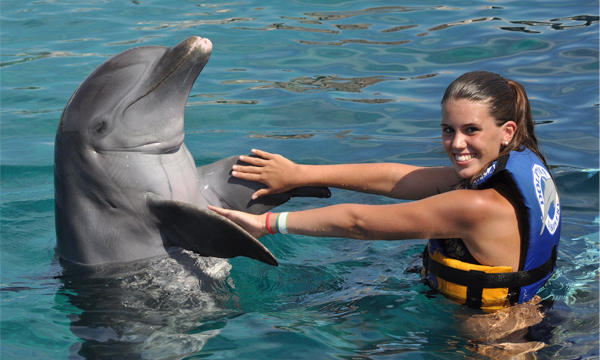 dolphin-encounter